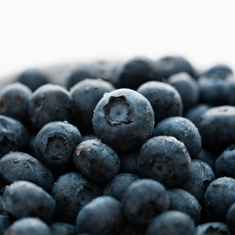 hundreds of blueberries